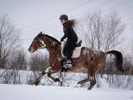 Pferdetrainerin Annika Schmitz