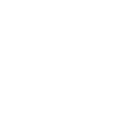 Pasion Cabillto - Individuelles Pferdetraining