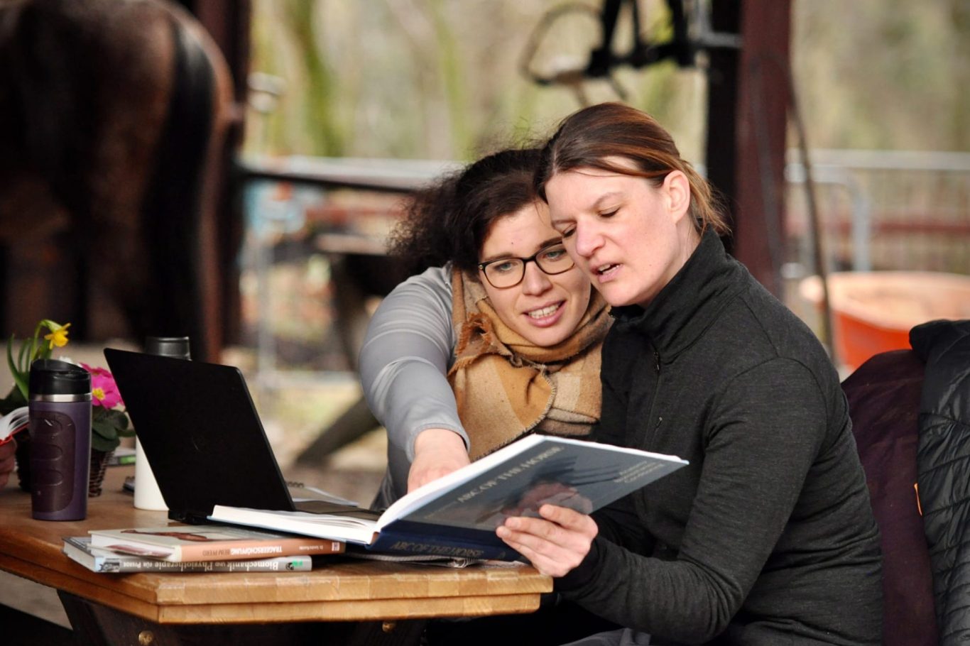 Online-Reitunterricht