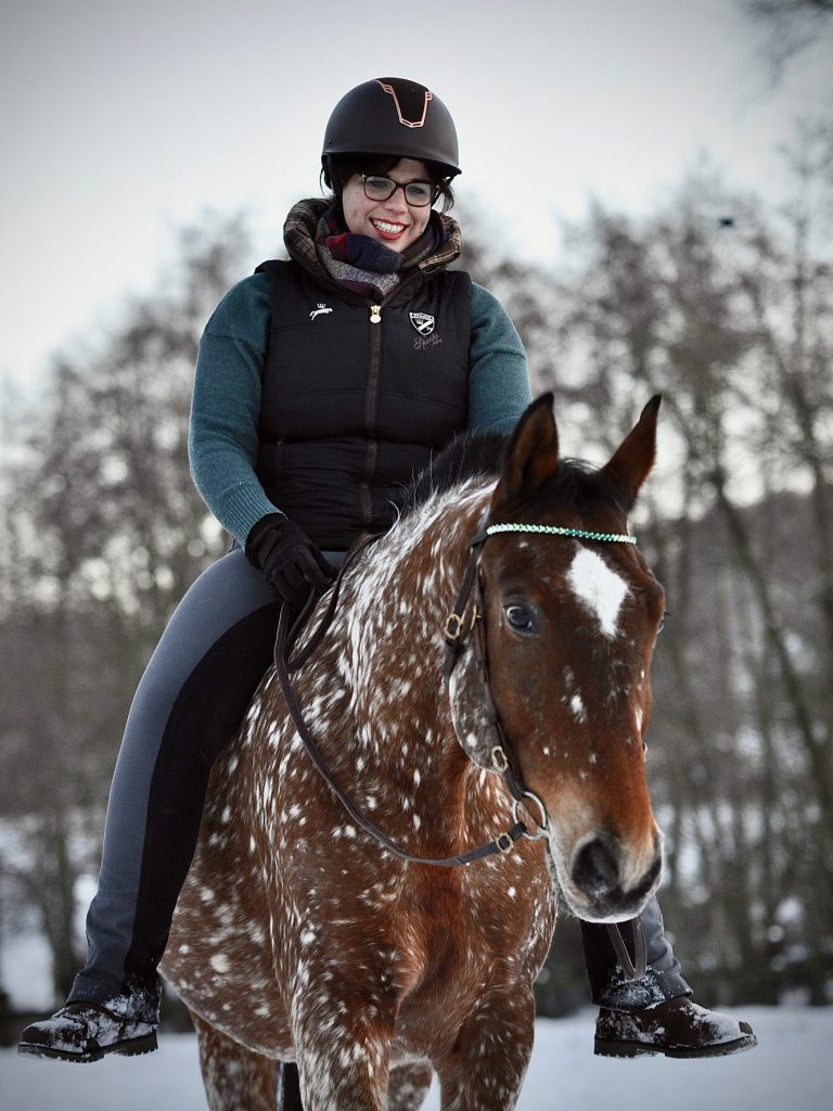Online-Reitunterricht